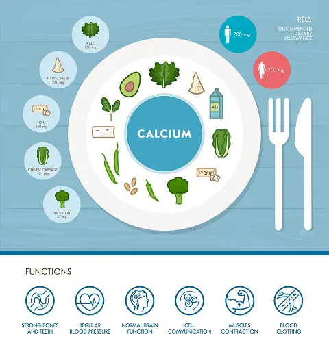 Increasing Your Calcium Intake as You Grow Older